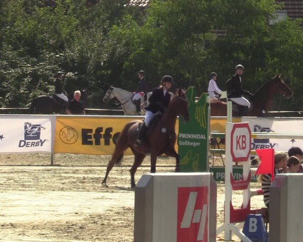 Reitturnier Ascheberg 2021