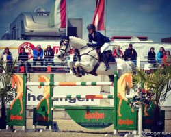 broodmare Classica 12 (Holsteiner, 2004, from Clearway)