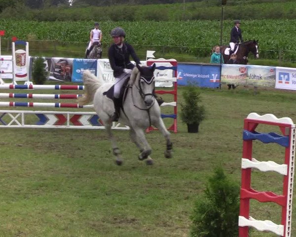 Reitturnier Süderbrarup-Güderott 2019