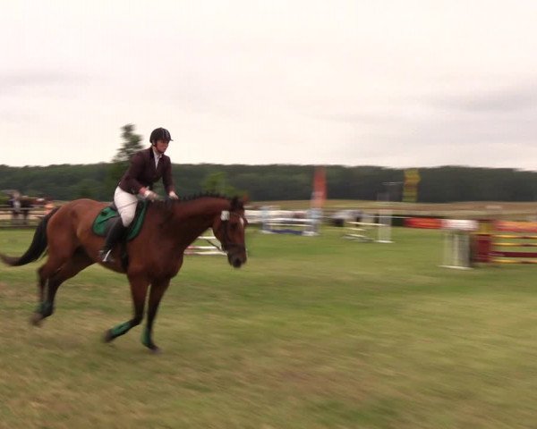 Reitturnier Ladeburg 2019