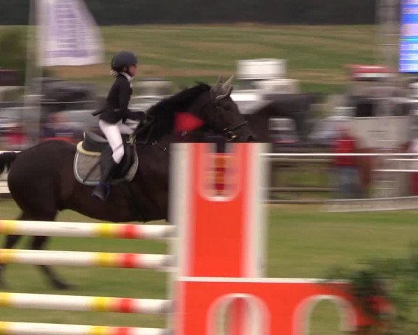 Reitturnier Ladeburg 2019