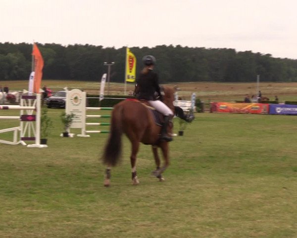 Reitturnier Ladeburg 2019