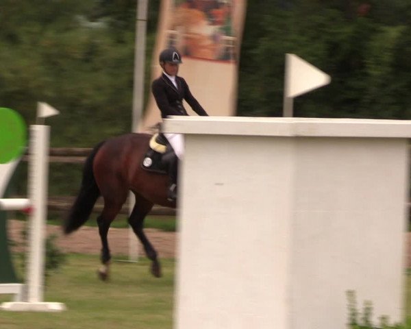 Reitturnier Ladeburg 2019