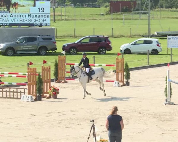 Reitturnier Turbenthal 2019