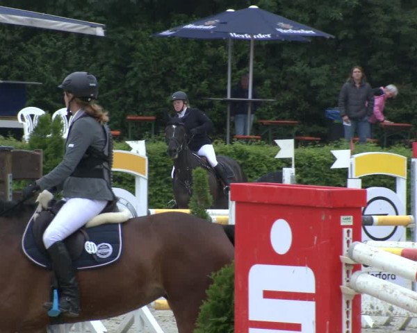 Reitturnier Vlotho-Exter 2019