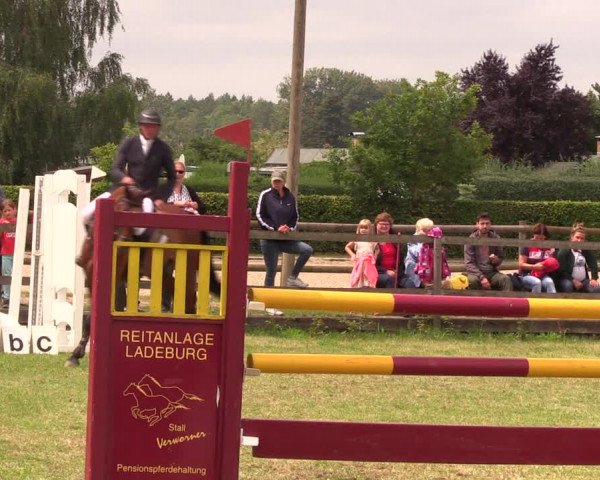 Reitturnier Ladeburg 2019