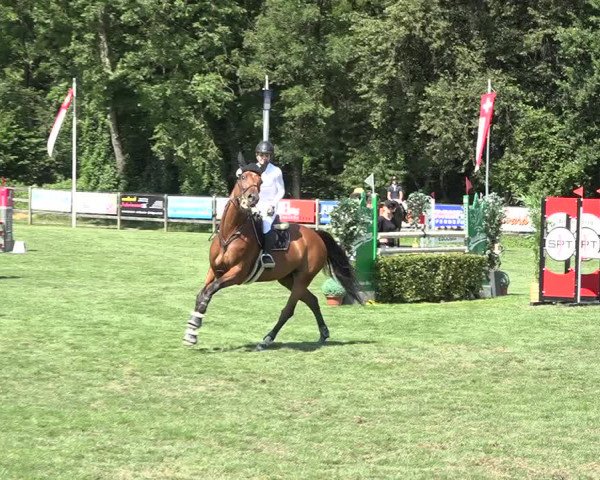 Reitturnier Kappelen-Lyss 2019
