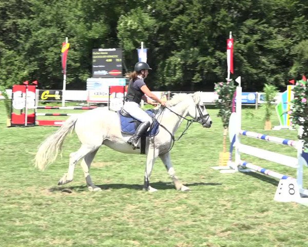 Reitturnier Kappelen-Lyss 2019