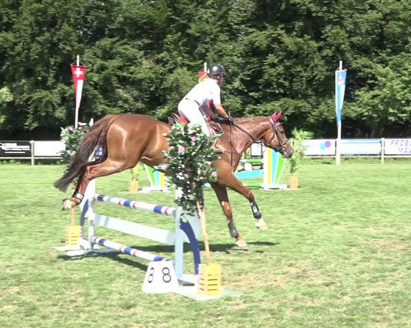 Reitturnier Kappelen-Lyss 2019