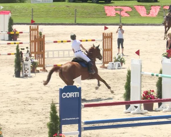 Reitturnier Turbenthal 2019