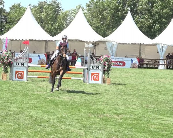 Reitturnier Kappelen-Lyss 2019