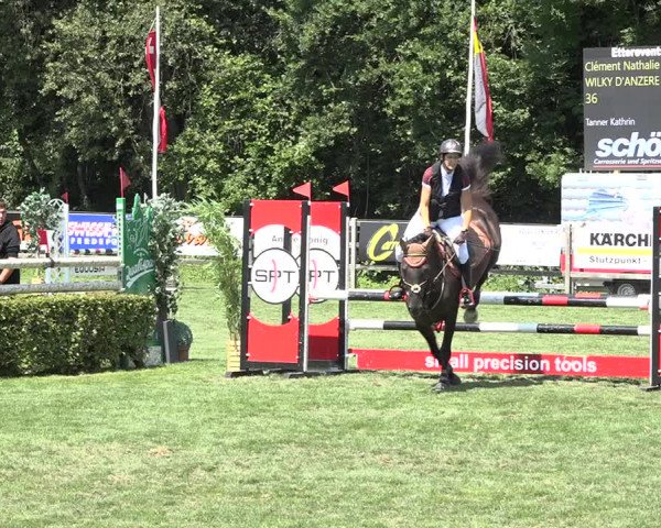 Reitturnier Kappelen-Lyss 2019