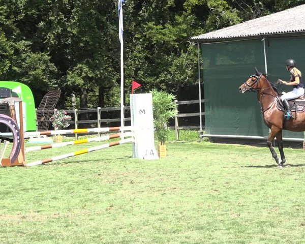 Reitturnier Kappelen-Lyss 2019