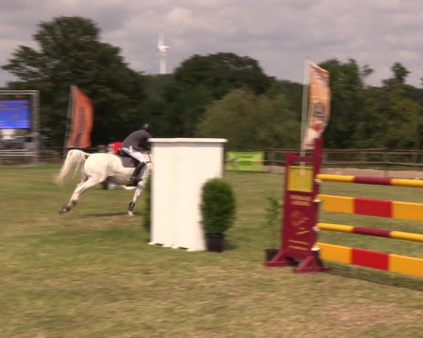 Reitturnier Ladeburg 2019