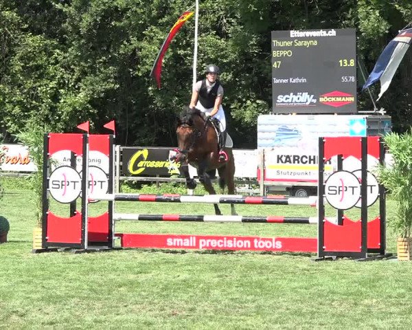 Reitturnier Kappelen-Lyss 2019