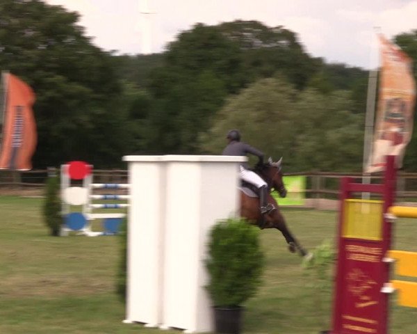 Reitturnier Ladeburg 2019