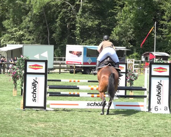 Reitturnier Kappelen-Lyss 2019