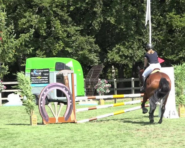 Reitturnier Kappelen-Lyss 2019