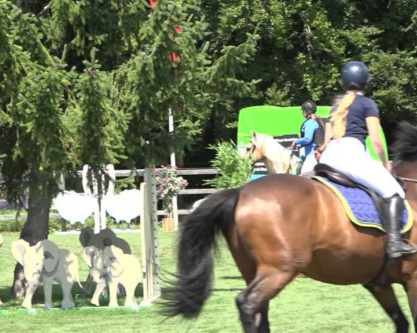 Reitturnier Kappelen-Lyss 2019