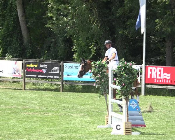 Reitturnier Kappelen-Lyss 2019