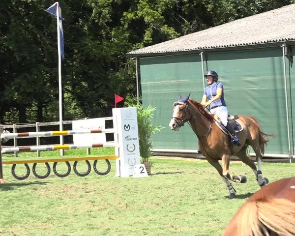Reitturnier Kappelen-Lyss 2019