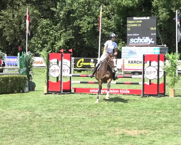 Reitturnier Kappelen-Lyss 2019