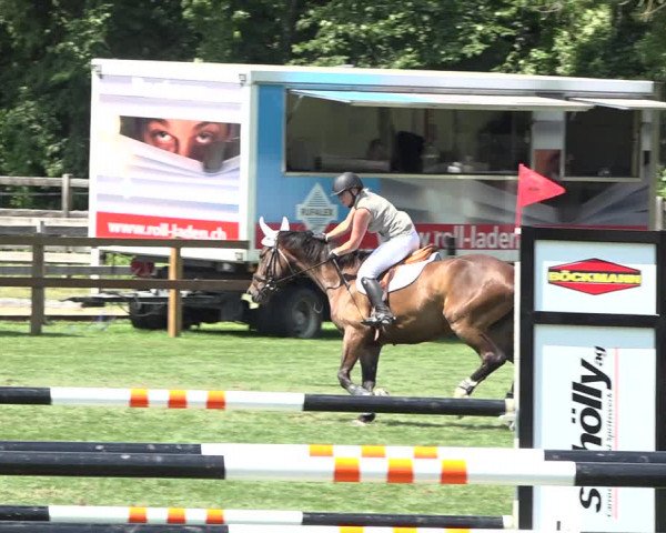 Reitturnier Kappelen-Lyss 2019