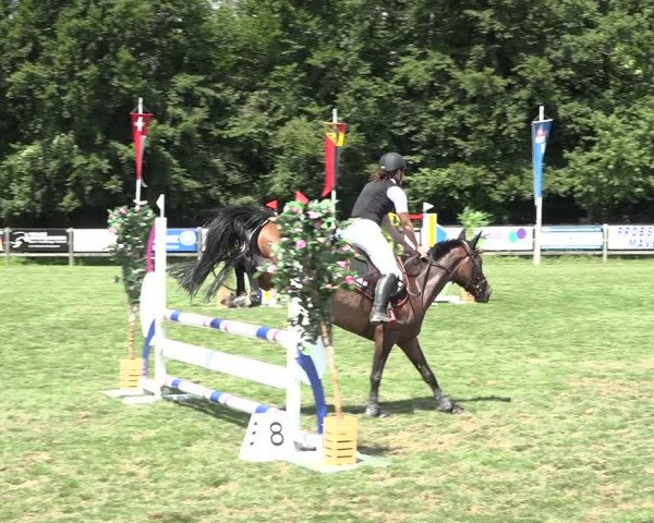 Reitturnier Kappelen-Lyss 2019