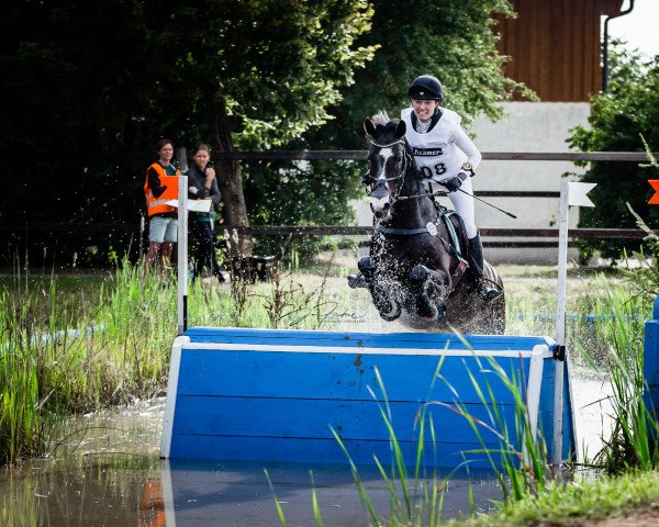 jumper Lucky Bon Bini (Württemberger, 2013, from Henglein's Licosto)