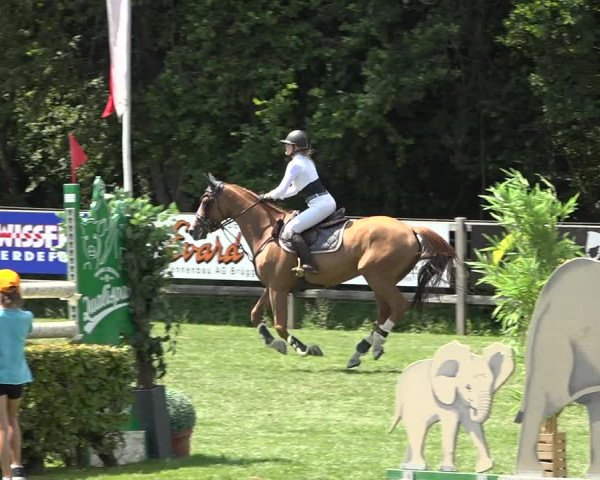 Reitturnier Kappelen-Lyss 2019