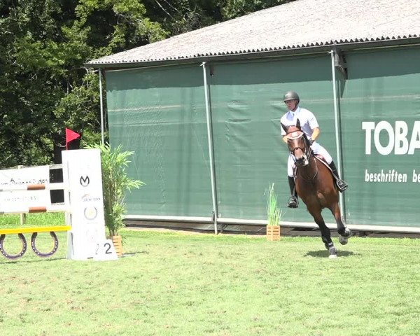 Jezdecký turnaj Kappelen-Lyss 2019