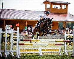 jumper Kookie P (German Sport Horse, 2016, from Kalaska de Semilly)