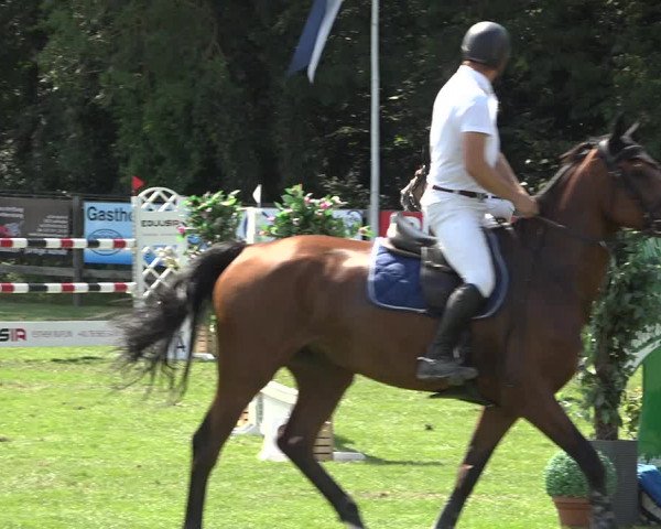 Reitturnier Kappelen-Lyss 2019