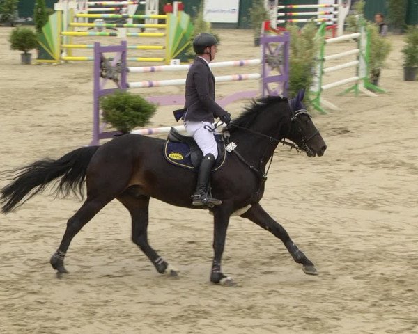 Reitturnier Lindlar-Süttenbach 2019