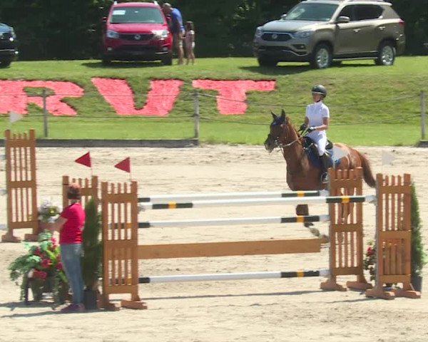 Reitturnier Turbenthal 2019