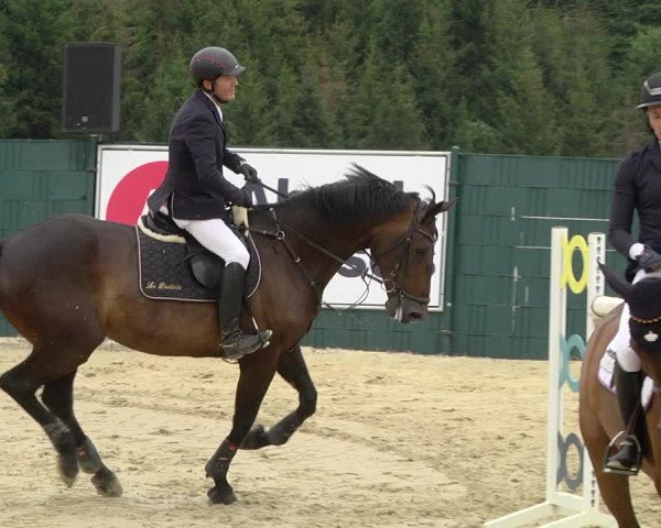 Reitturnier Lindlar-Süttenbach 2019