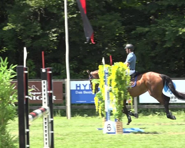 Reitturnier Kappelen-Lyss 2019