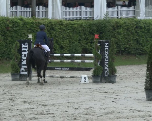 Reitturnier Vlotho-Exter 2019