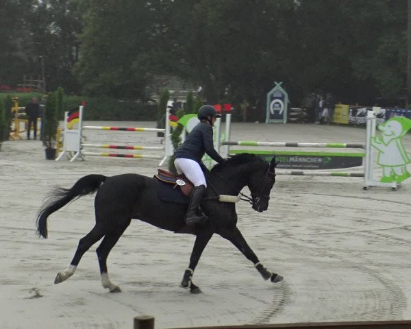 Reitturnier Vlotho-Exter 2019
