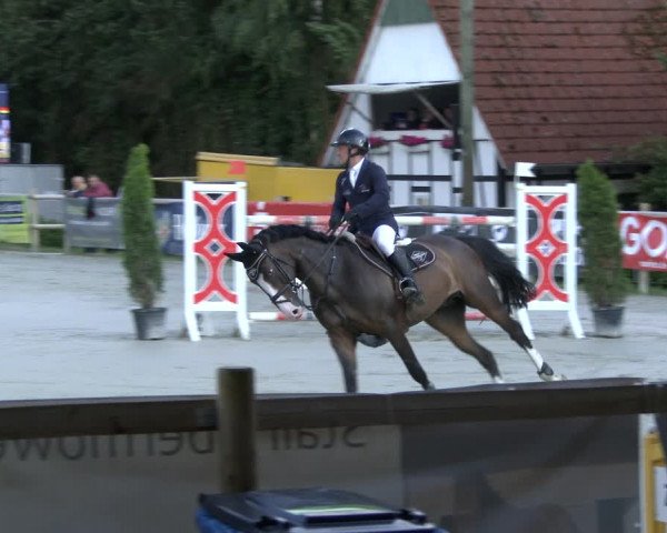 Reitturnier Vlotho-Exter 2019
