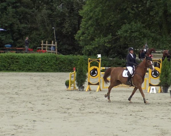 Reitturnier Vlotho-Exter 2019