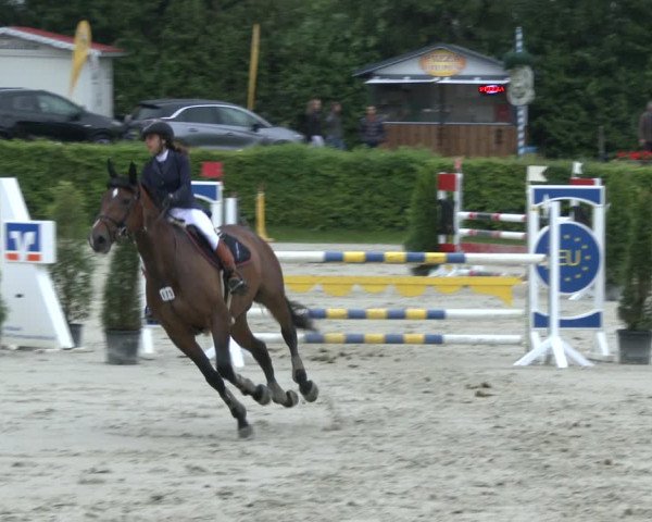 Reitturnier Vlotho-Exter 2019
