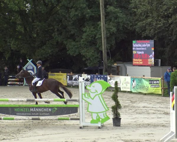 Reitturnier Vlotho-Exter 2019