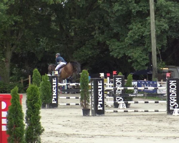 Reitturnier Vlotho-Exter 2019