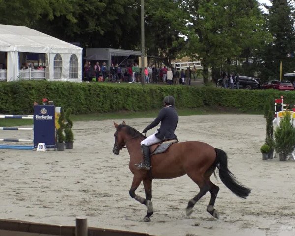 Reitturnier Vlotho-Exter 2019