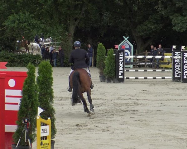Reitturnier Vlotho-Exter 2019