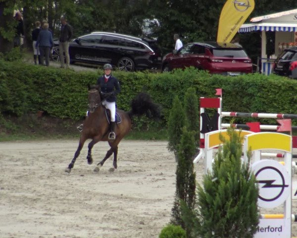 Reitturnier Vlotho-Exter 2019