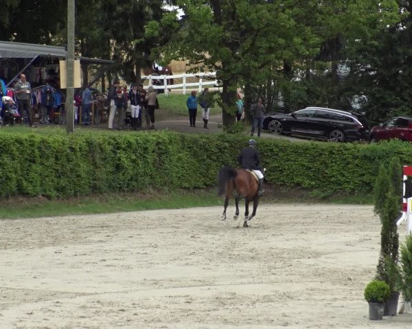 Reitturnier Vlotho-Exter 2019