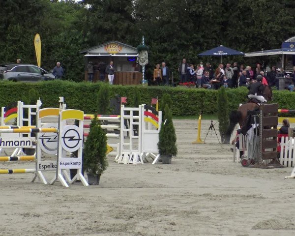 Reitturnier Vlotho-Exter 2019
