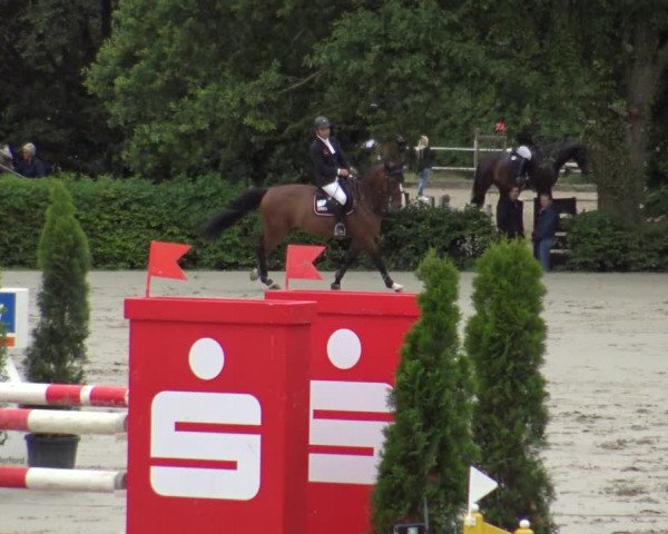 Reitturnier Vlotho-Exter 2019